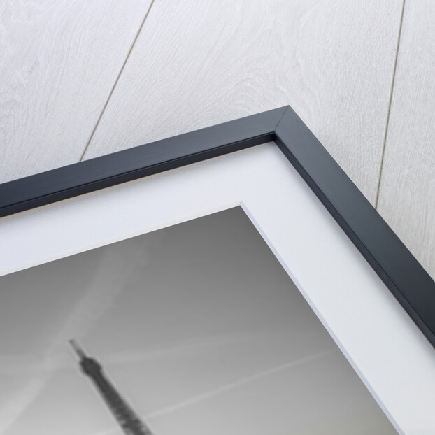 Bicycle and Eiffel tower by Assaf Frank